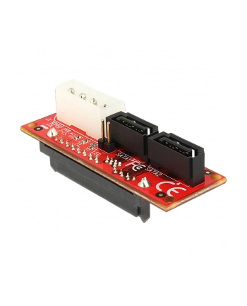 Delock Adapter SAS -> 2x SATA nr 1