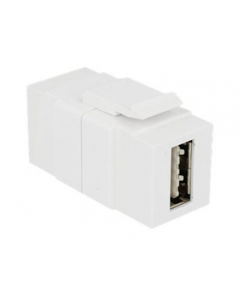 DeLOCK Keystone Easy USB 2.0 Wt-Wt A - biały nr 1