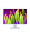 Eizo 22 L EV2216WFS3-GY LED VGA DVI - nr 14