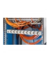 Bachmann 19 Cali 1HE 9x Gniazd Strom 2m Schuko - nr 25