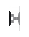 Hagor MB TnT WA black HvSBvNTV- < 40KG - nr 9