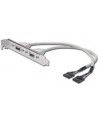 Adapter Śledź 2xUSB 0,3m - nr 10