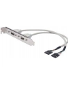 Adapter Śledź 2xUSB 0,3m - nr 12