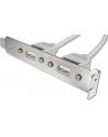 Adapter Śledź 2xUSB 0,3m - nr 14
