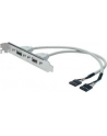 Adapter Śledź 2xUSB 0,3m - nr 17
