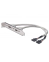 Adapter Śledź 2xUSB 0,3m - nr 1