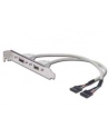 Adapter Śledź 2xUSB 0,3m - nr 6