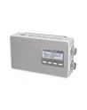 Panasonic RF-D10EG-W white - nr 20