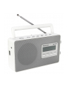 Panasonic RF-D10EG-W white - nr 20