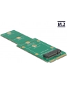DeLOCK Adapter M.2 NGFF na mSATA - nr 13