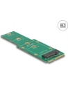 DeLOCK Adapter M.2 NGFF na mSATA - nr 20