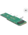 DeLOCK Adapter M.2 NGFF na mSATA - nr 21