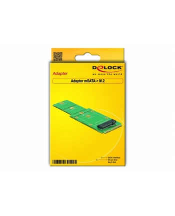 DeLOCK Adapter M.2 NGFF na mSATA nr 1