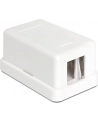 Delock Keystone Obudowa 1 Port white - nr 13