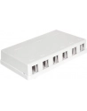 Delock Keystone Obudowa 6 Port white - nr 11