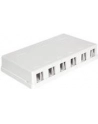 Delock Keystone Obudowa 6 Port white - nr 13