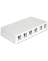 Delock Keystone Obudowa 6 Port white - nr 14