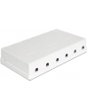 Delock Keystone Obudowa 6 Port white - nr 18