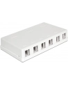 Delock Keystone Obudowa 6 Port white - nr 19