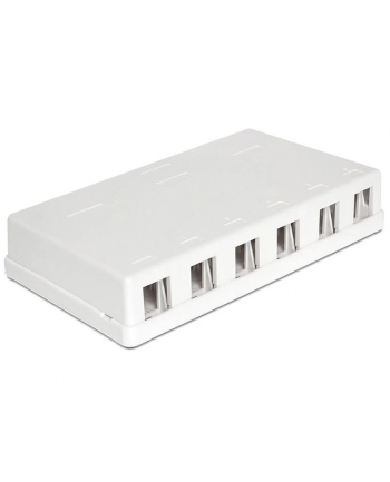 Delock Keystone Obudowa 6 Port white nr 1
