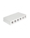 Delock Keystone Obudowa 6 Port white - nr 6