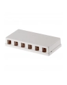 Delock Keystone Obudowa 6 Port white - nr 7