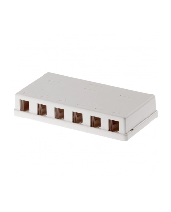 Delock Keystone Obudowa 6 Port white nr 2