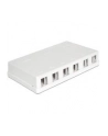 Delock Keystone Obudowa 6 Port white - nr 8
