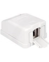 Delock Keystone Obudowa 1P Surface Box - white - nr 10