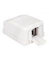 Delock Keystone Obudowa 1P Surface Box - white - nr 1