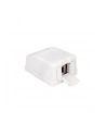 Delock Keystone Obudowa 1P Surface Box - white - nr 6