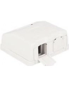 Delock Keystone Obudowa 2P Surface Box - white - nr 10
