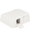 Delock Keystone Obudowa 2P Surface Box - white - nr 11
