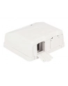 Delock Keystone Obudowa 2P Surface Box - white - nr 1