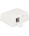 Delock Keystone Obudowa 2P Surface Box - white - nr 2