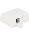 Delock Keystone Obudowa 2P Surface Box - white - nr 6