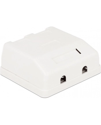 Delock Keystone Obudowa 2P Surface Box - white nr 2