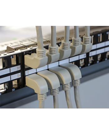 Delock Keystone Patchpanel 19 Cali 48 Port