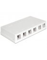 Delock Keystone Obudowa 6 Port white - nr 1