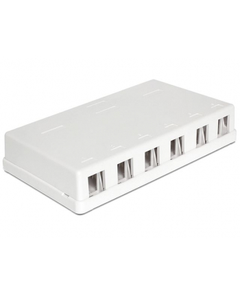 Delock Keystone Obudowa 6 Port white