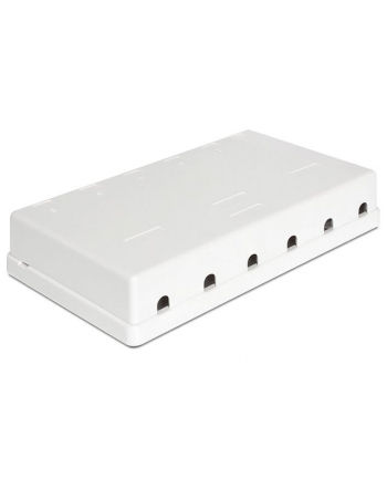 Delock Keystone Obudowa 6 Port white