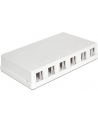 Delock Keystone Obudowa 6 Port white - nr 6