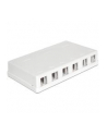 Delock Keystone Obudowa 6 Port white - nr 7