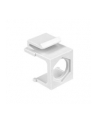 Delock Keystone Obudowa 2P Surface Box - white - nr 2