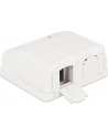 Delock Keystone Obudowa 2P Surface Box - white - nr 3