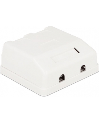 Delock Keystone Obudowa 2P Surface Box - white