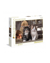 CLEMENTONI 1000 EL.  Lovely Kittens - nr 1