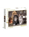 CLEMENTONI 1000 EL.  Lovely Kittens - nr 3