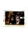 CLEMENTONI 1000 EL.  Lovely Kittens - nr 4