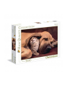CLEMENTONI 500 EL. Cuddles - nr 1